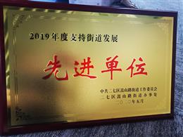 2019���֧�ֵֽ��l(f��)չ���M��λ